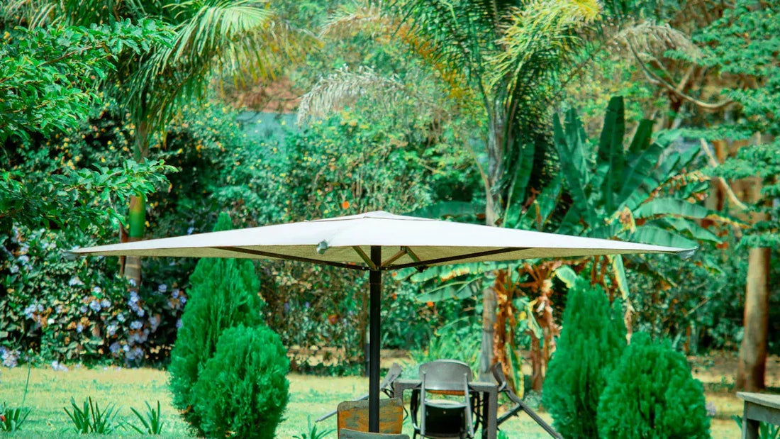 Comprehensive Guide to Patio Umbrellas: Materials, Features, and More