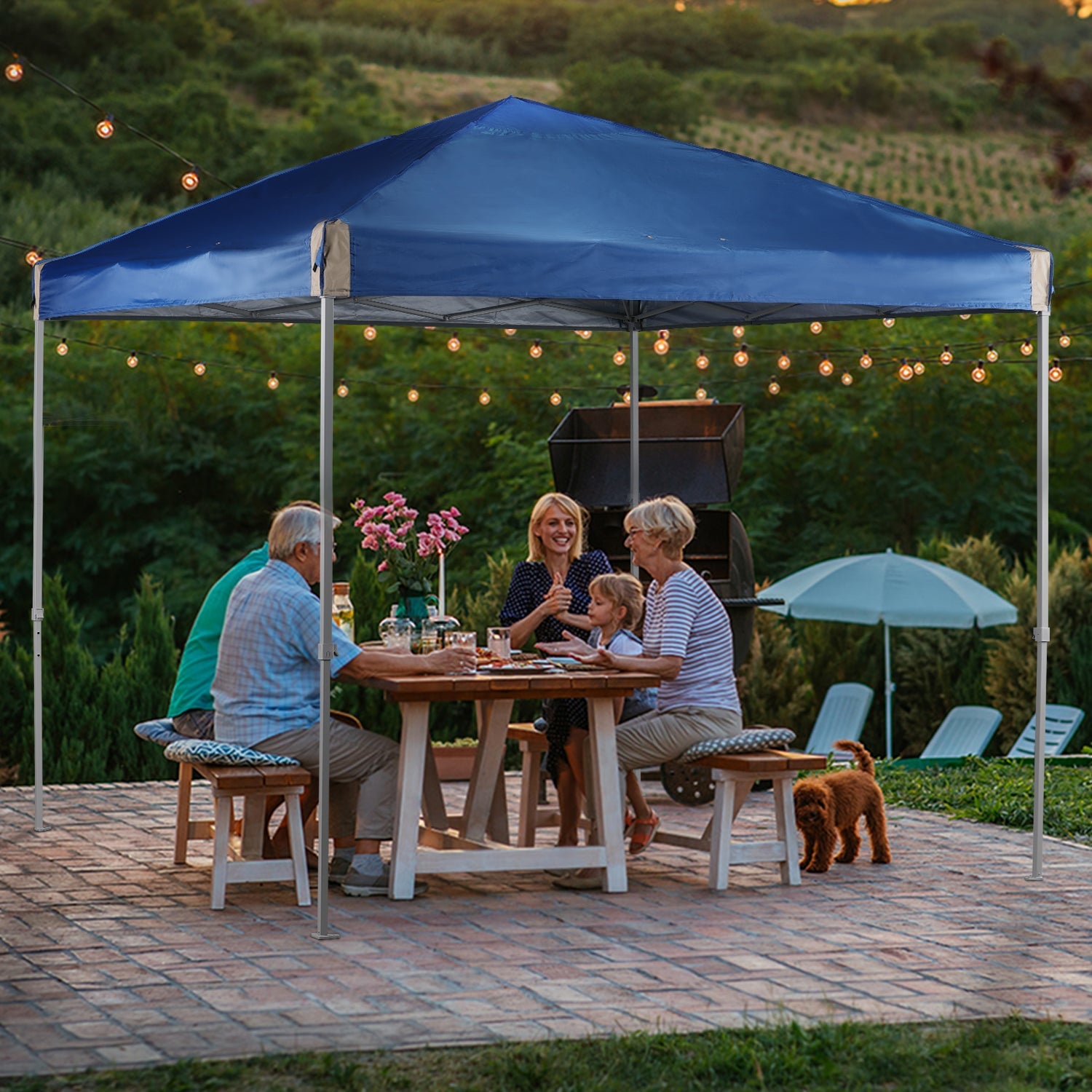 10 x 10 FT Pop Up Canopy Tent with Roller Bag, Instant Shade Canopy Gazebo Aoodor LLC   