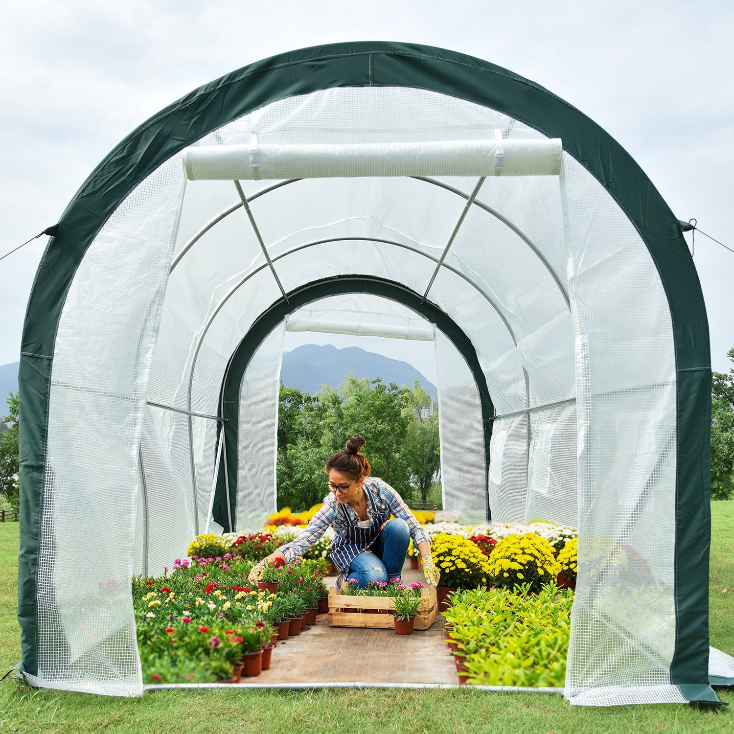 12 ft. x 7 ft. x 7 ft. Walk-in Tunnel Greenhouse with Zipper Door, Side Windows Greenhouse Aoodor   