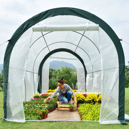 12 ft. x 7 ft. x 7 ft. Walk-in Tunnel Greenhouse with Zipper Door, Side Windows Greenhouse Aoodor   