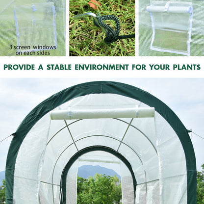 12 ft. x 7 ft. x 7 ft. Walk-in Tunnel Greenhouse with Zipper Door, Side Windows Greenhouse Aoodor   