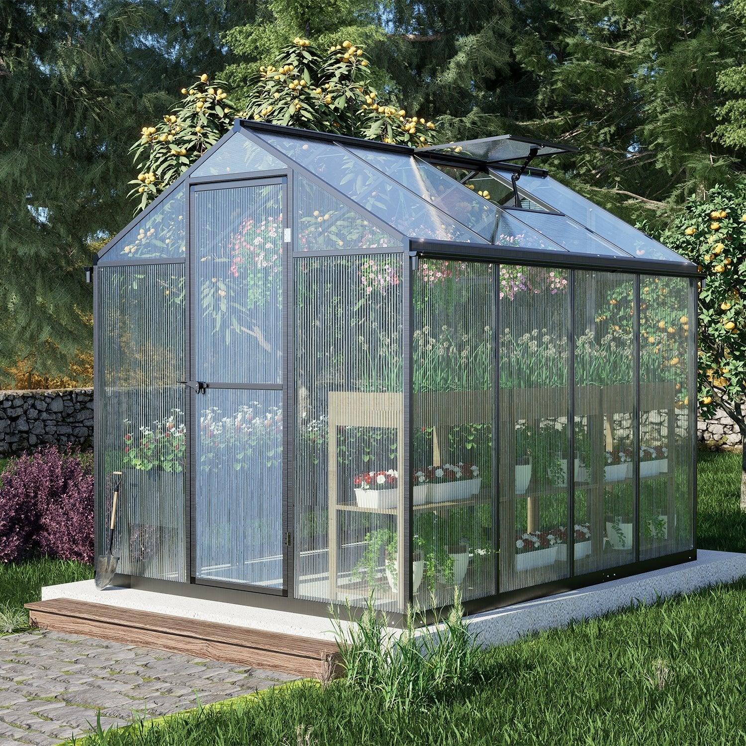 6' x 8' /6' x 10' Walk-in Polycarbonate Greenhouse with Roof Vent and Door lock,  Aluminum Frame and Polycarbonate Panels- White/Black  Aoodor LLC   