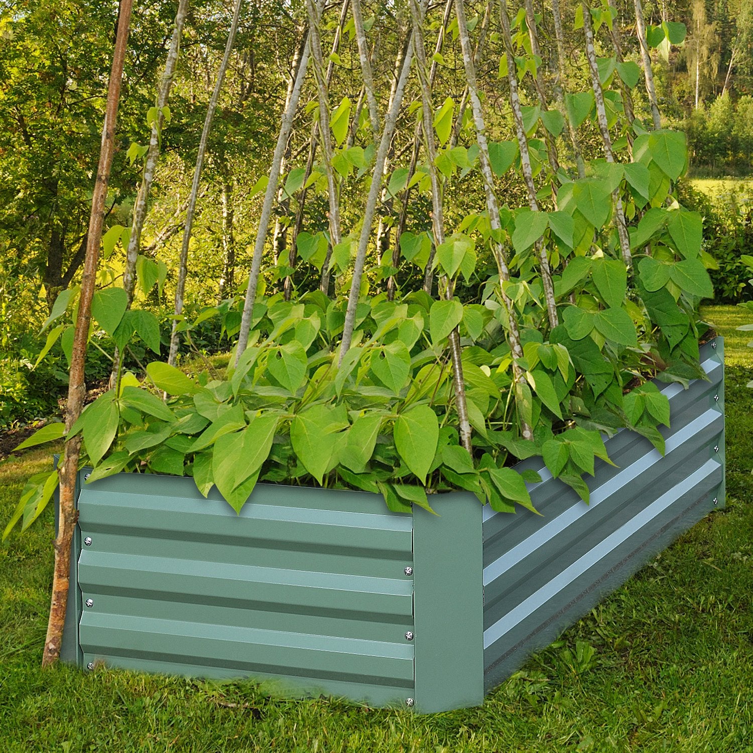 Raised Garden Bed Greenhouse Aoodor   